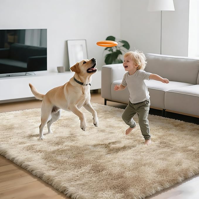 Shag Area Rugs for Bedroom Living Room, 5X8 Ultra Soft Fluffy Area Rugs for Dorm - Image 7