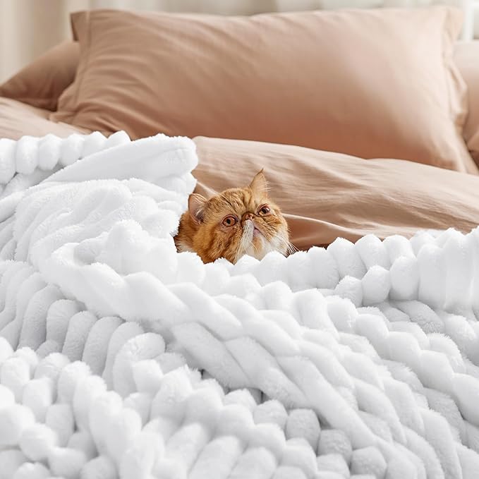 Bedsure GentleSoft Queen Blanket - Image 4