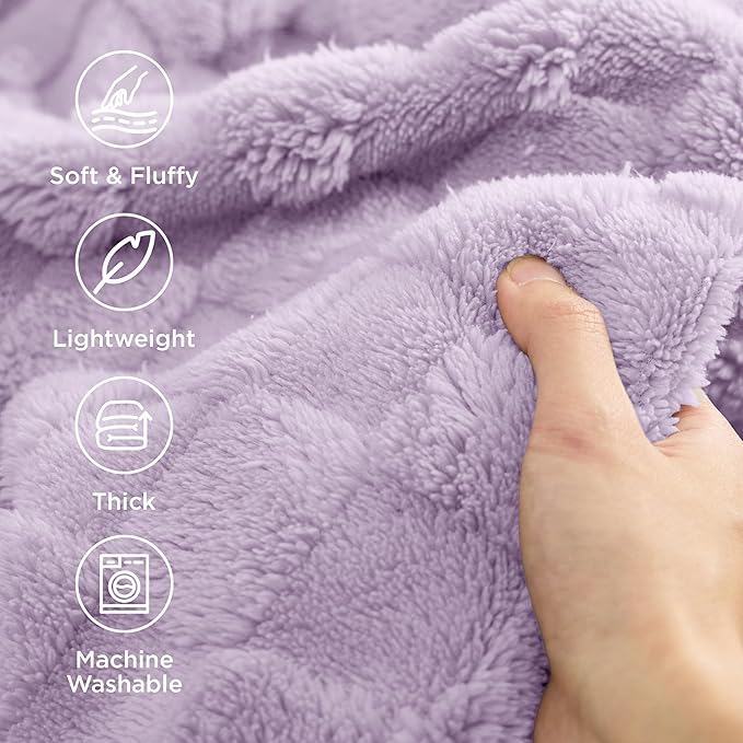 Bedsure GentleSoft Blankets Queen Size - Image 3