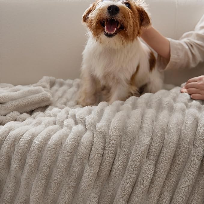Bedsure GentleSoft Throw Blanket - Image 8