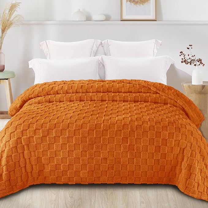 Exclusivo Mezcla Queen Size Flannel Fleece Blanket, Super Soft and Warm - Image 3