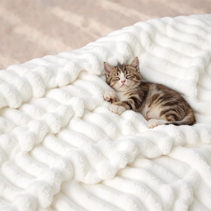 Bedsure GentleSoft Blankets Queen Size - Image 8