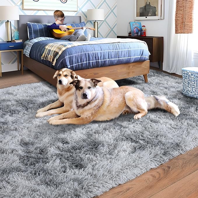 Rugs for Bedroom 4x6, Soft Shaggy Modern Shag Area Rug for Living Room - Image 2